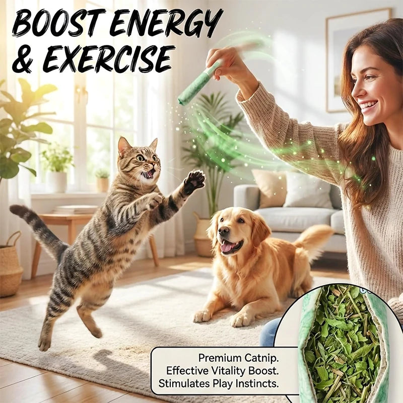 Cat Mint Chew Stick – Dental Cleaning & Boredom Relief Toy