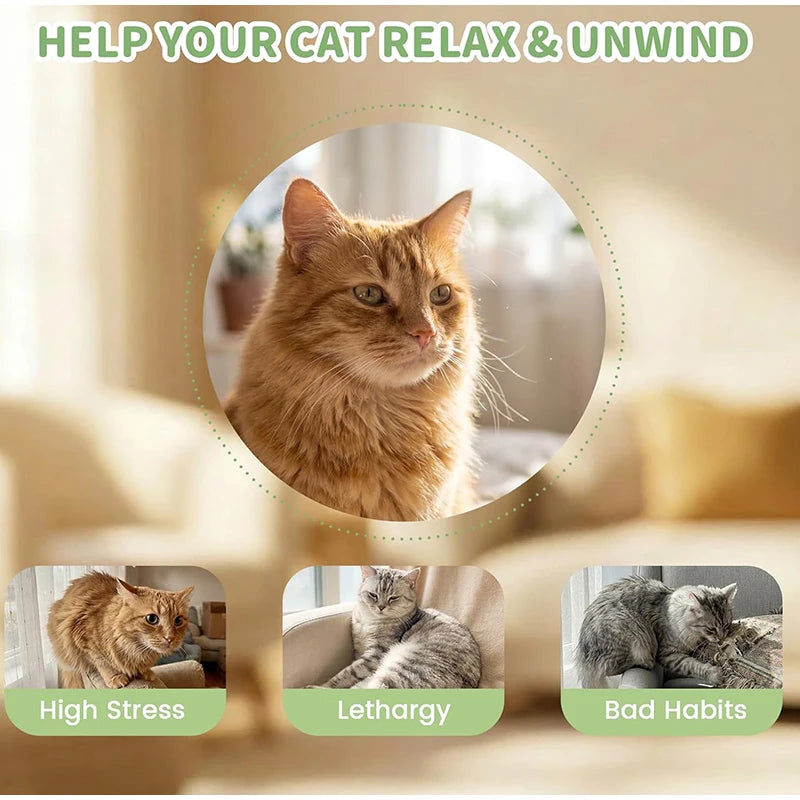 Cat Mint Chew Stick – Dental Cleaning & Boredom Relief Toy