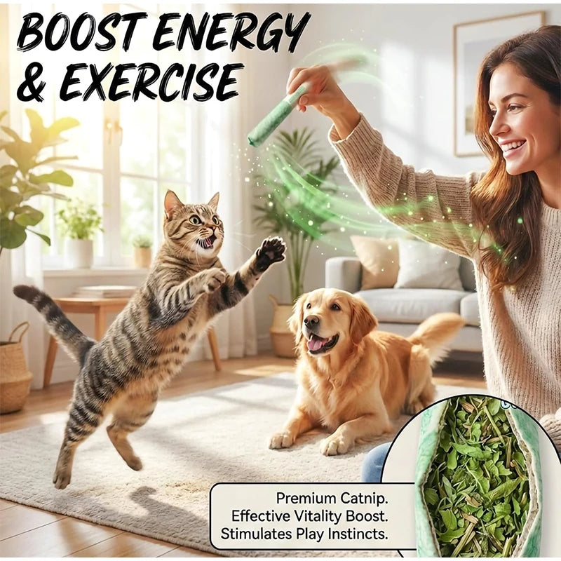 Cat Mint Chew Stick – Dental Cleaning & Boredom Relief Toy