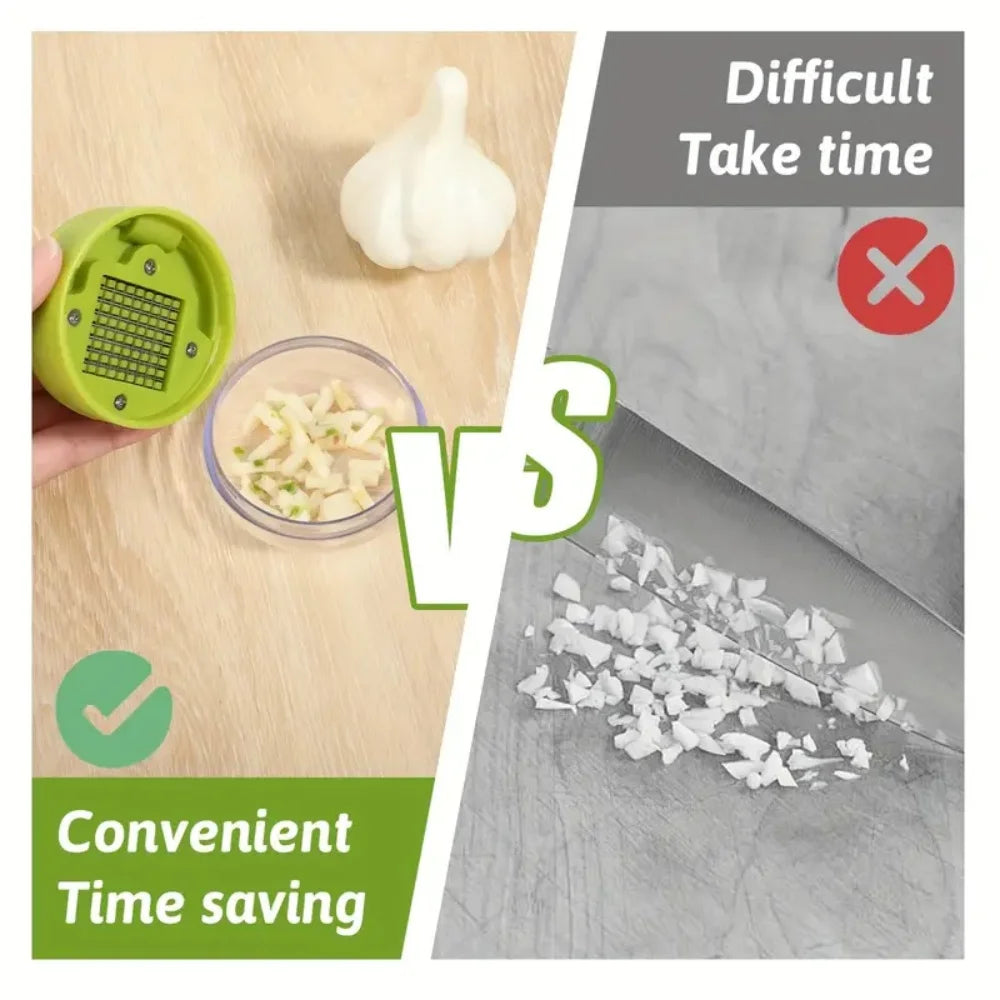 1pc Multifunctional Garlic Press Manual Mincer， ABS and Stainless Steel Garlic Slicer Handheld Ginger Masher with Storage Case